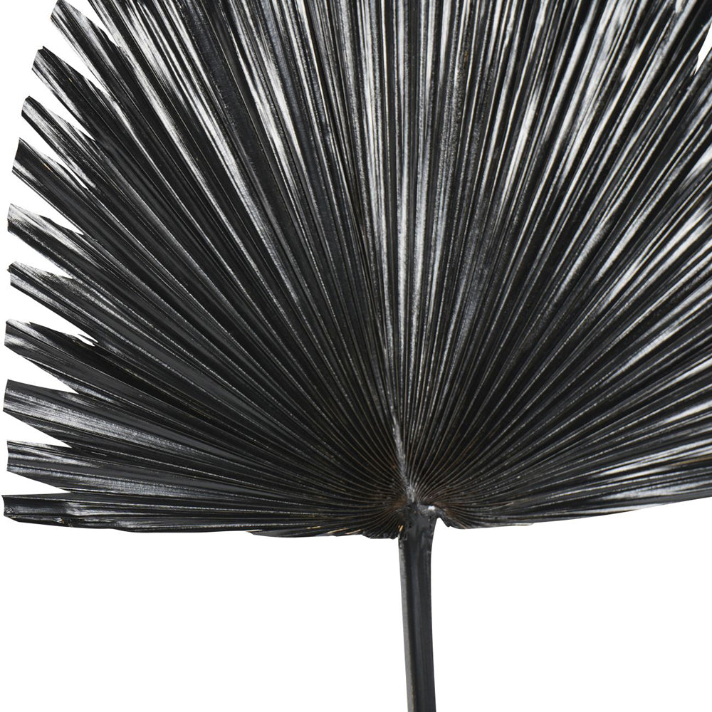 Product photograph of Libra Interiors Arrowhead Palm Leaf In Black from Olivia's.