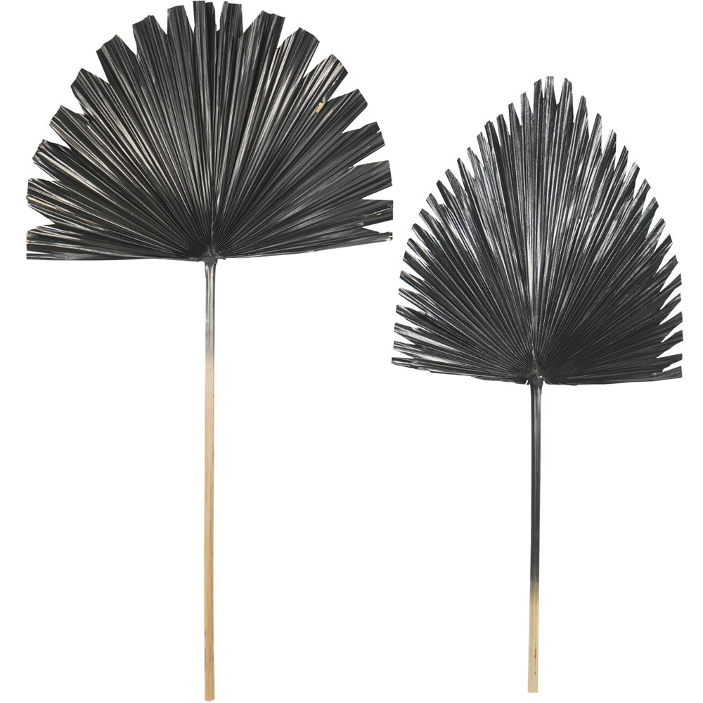 Product photograph of Libra Interiors Arrowhead Palm Leaf In Black from Olivia's.