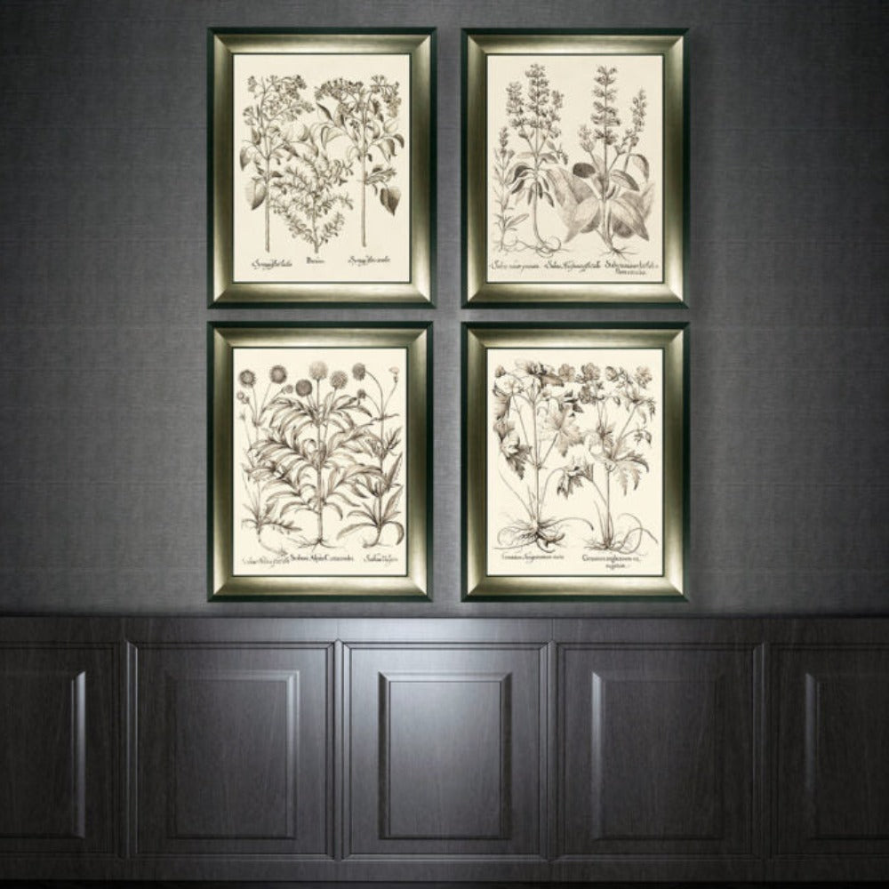 Product photograph of Olivia S Sepia Botanials Ii - Framed Glazed Print - 89x72 5cm from Olivia's.