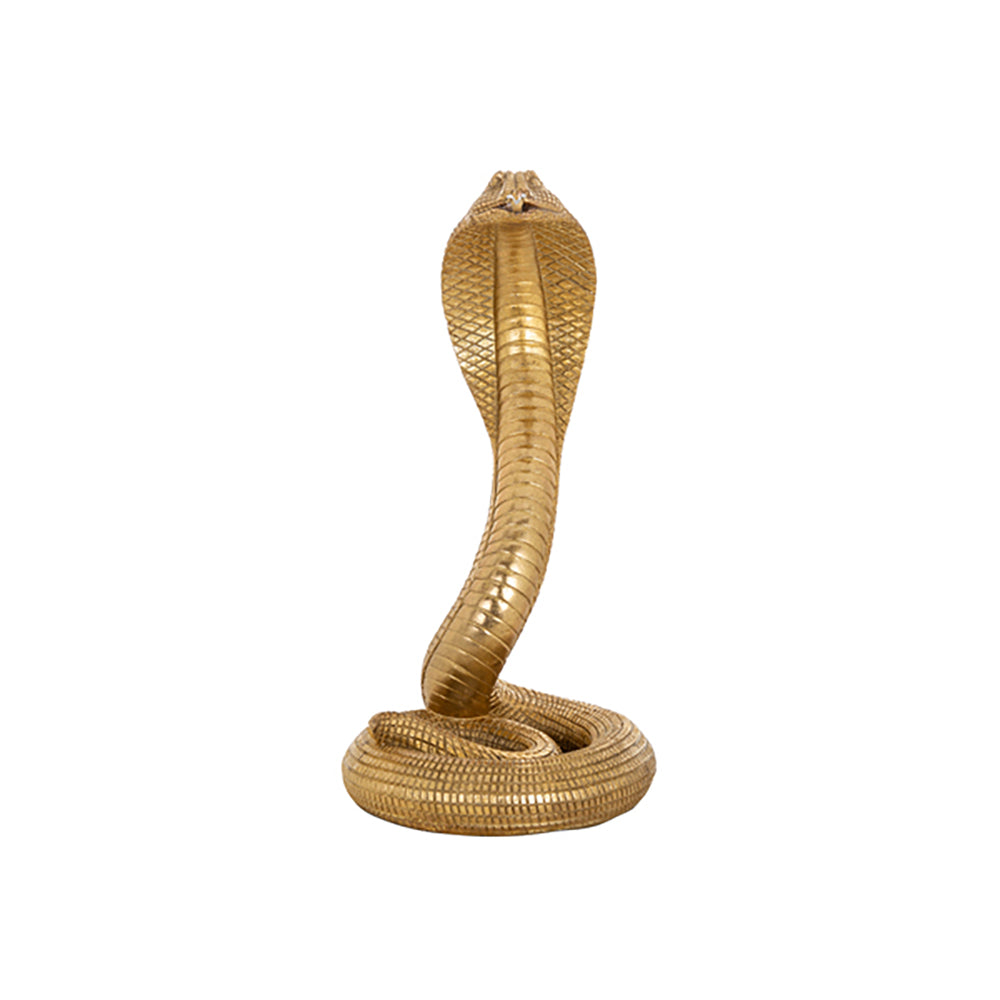 Richmond Snake Gold Ornament Small Outlet Small