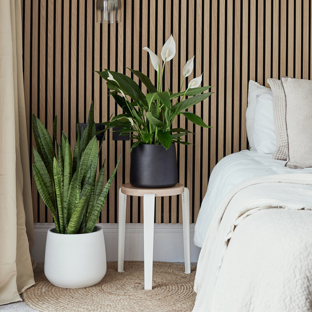 Product photograph of Ivyline Akemi Planter Pure White from Olivia's.