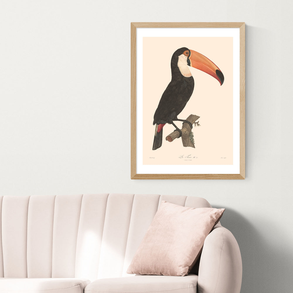 Product photograph of Toucan By Aster - A2 Oak Framed Art Print from Olivia's