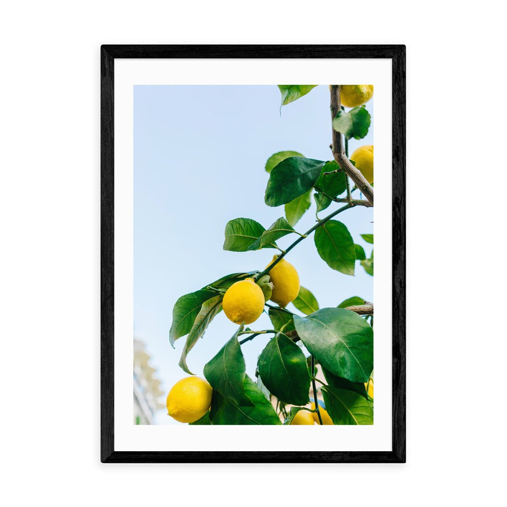 Product photograph of Amalfi Coast Lemons By Bethany Young - A3 Black Framed Art Print from Olivia's