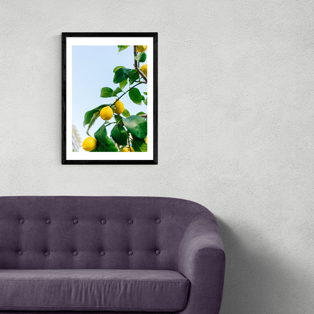 Product photograph of Amalfi Coast Lemons By Bethany Young - A3 Black Framed Art Print from Olivia's.