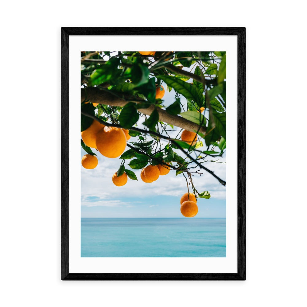 Product photograph of Amalfi Coast Oranges By Bethany Young - A3 Black Framed Art Print from Olivia's
