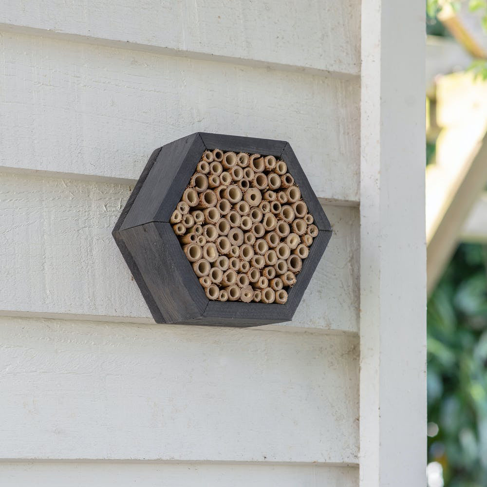 Product photograph of Garden Trading Wild Bee House from Olivia's