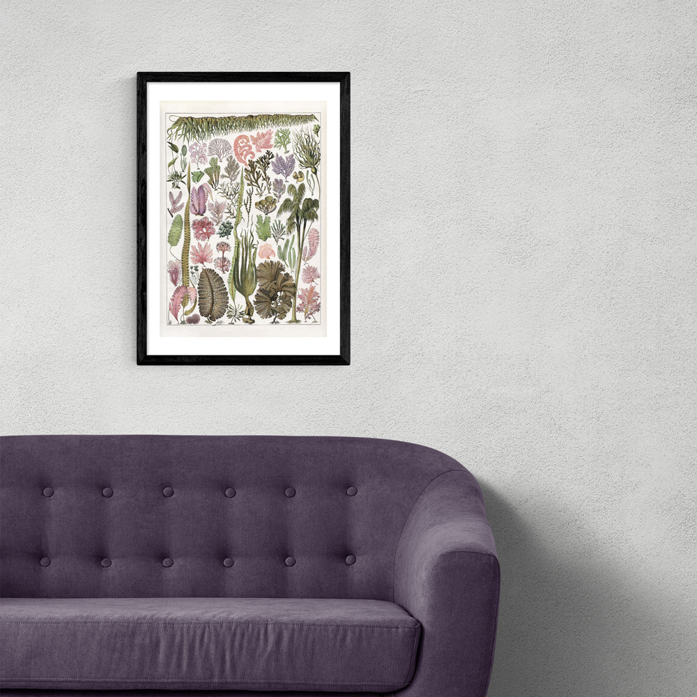 Product photograph of Seaweed - Pink By Capricorn Press - A3 Black Framed Art Print from Olivia's.