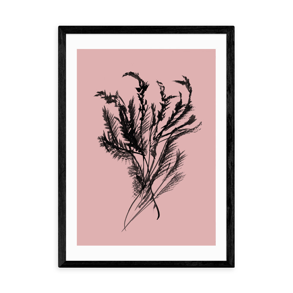 Product photograph of Mono Botanical 2 By Dan Hobday - A3 Black Framed Art Print from Olivia's.