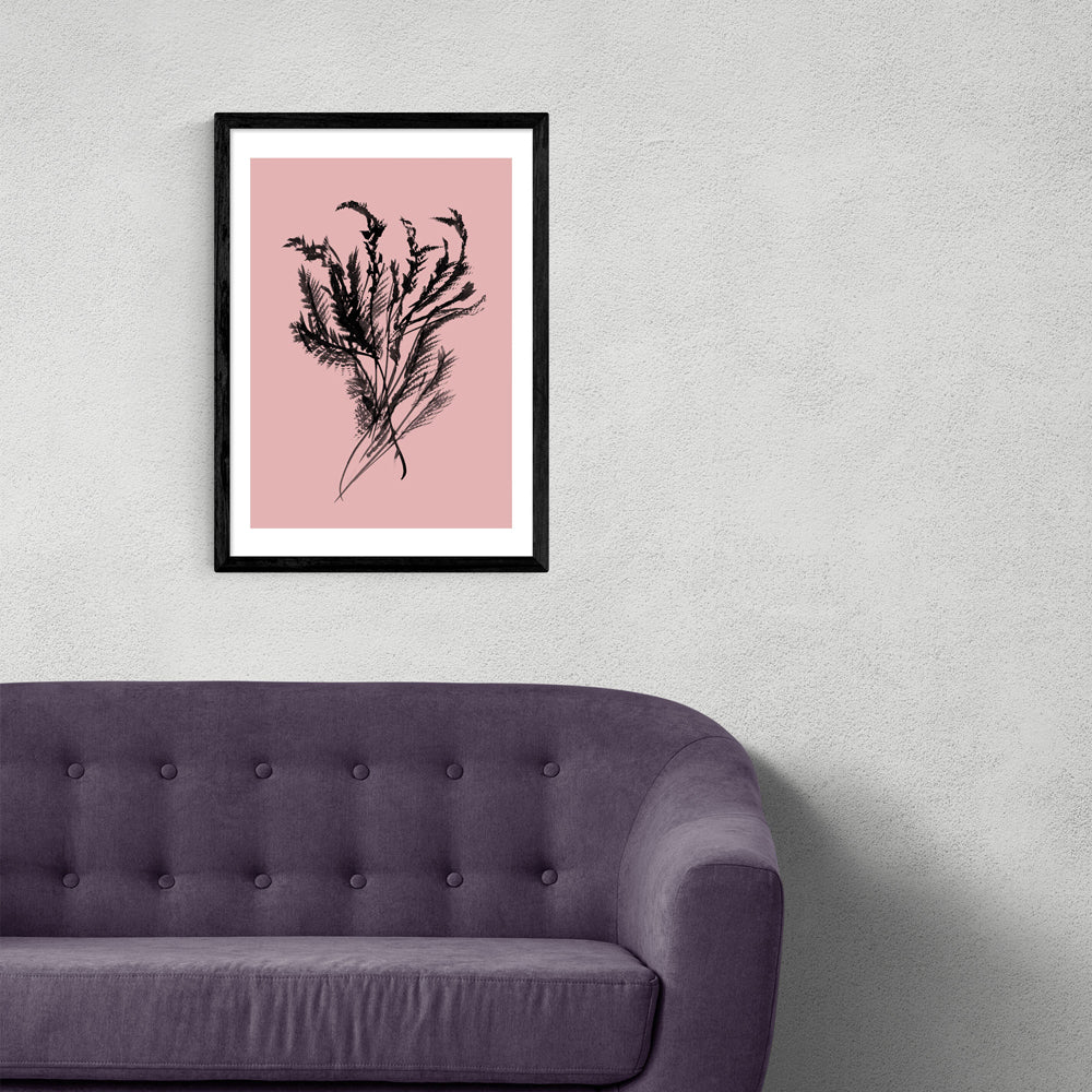 Product photograph of Mono Botanical 2 By Dan Hobday - A3 Black Framed Art Print from Olivia's