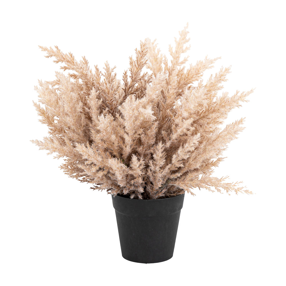 Product photograph of Gallery Interiors Faux Potted Broom Corn Bush from Olivia's