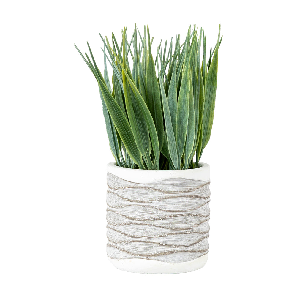 Product photograph of Gallery Interiors Set Of 2 Grass In Wavy Pot Medium from Olivia's
