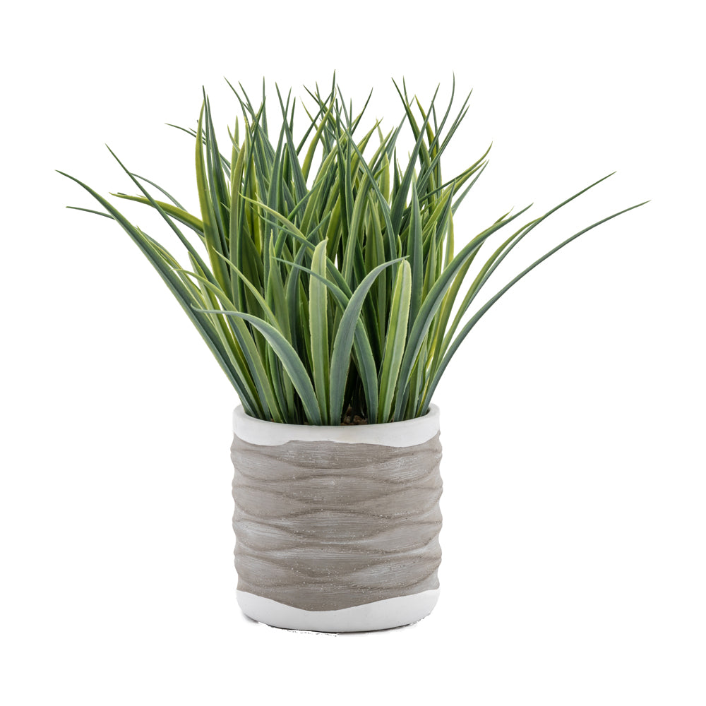 Product photograph of Gallery Interiors Set Of 2 Grass In Wavy Pot Large from Olivia's.