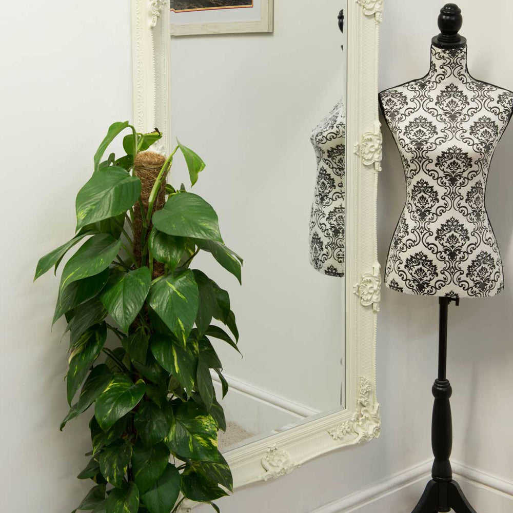 Product photograph of Olivia S Dayna Ornate Full Length Mirror In Cream - 164 X 78cm from Olivia's.