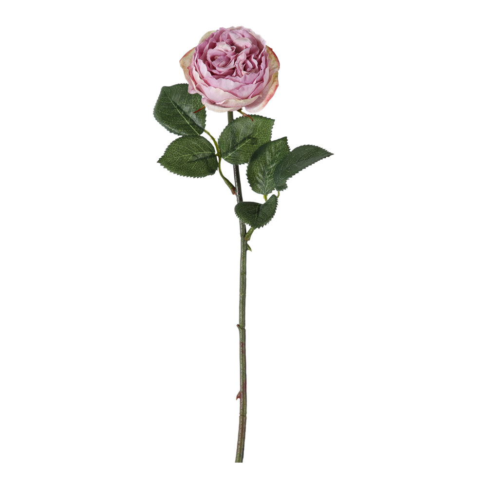 Product photograph of Gallery Interiors Aldona Rose Stem Lilac Small Set Of 12 from Olivia's