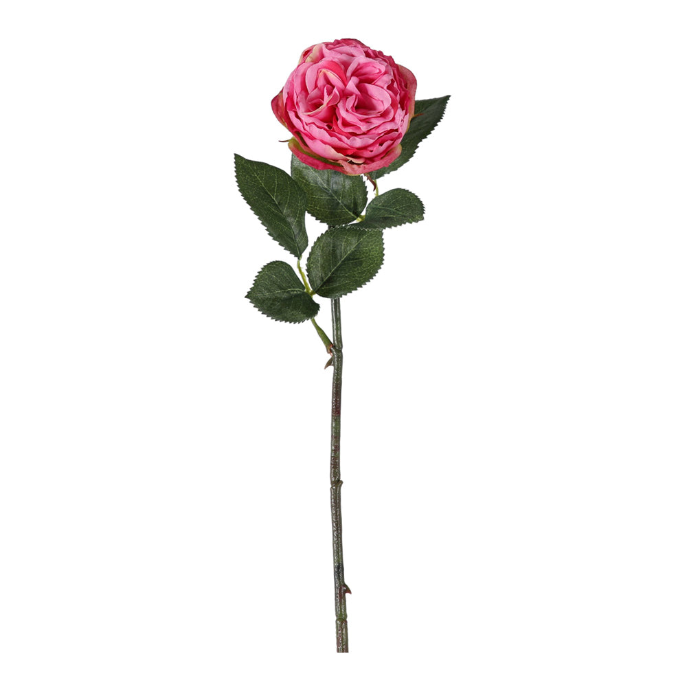 Product photograph of Gallery Interiors Aldona Rose Stem Pink Small Set Of 12 from Olivia's