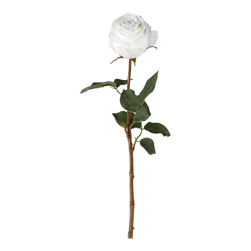 Product photograph of Gallery Interiors Aldona Rose Stem White Small Set Of 12 from Olivia's