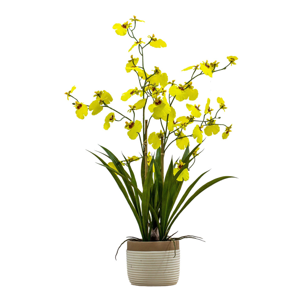 Product photograph of Gallery Interiors Begbie Potted Oncidium Orchid Yellow Small from Olivia's