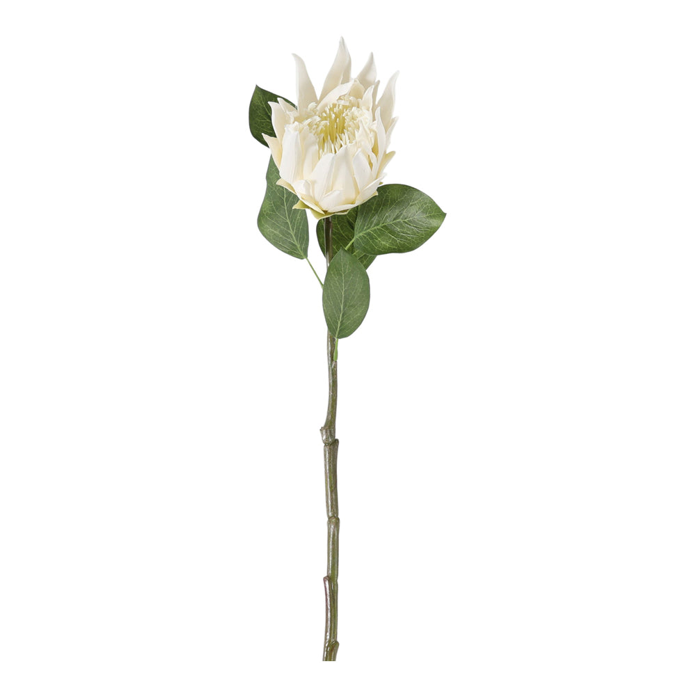 Product photograph of Gallery Interiors Set Of 6 Cassius Protea Stem White from Olivia's