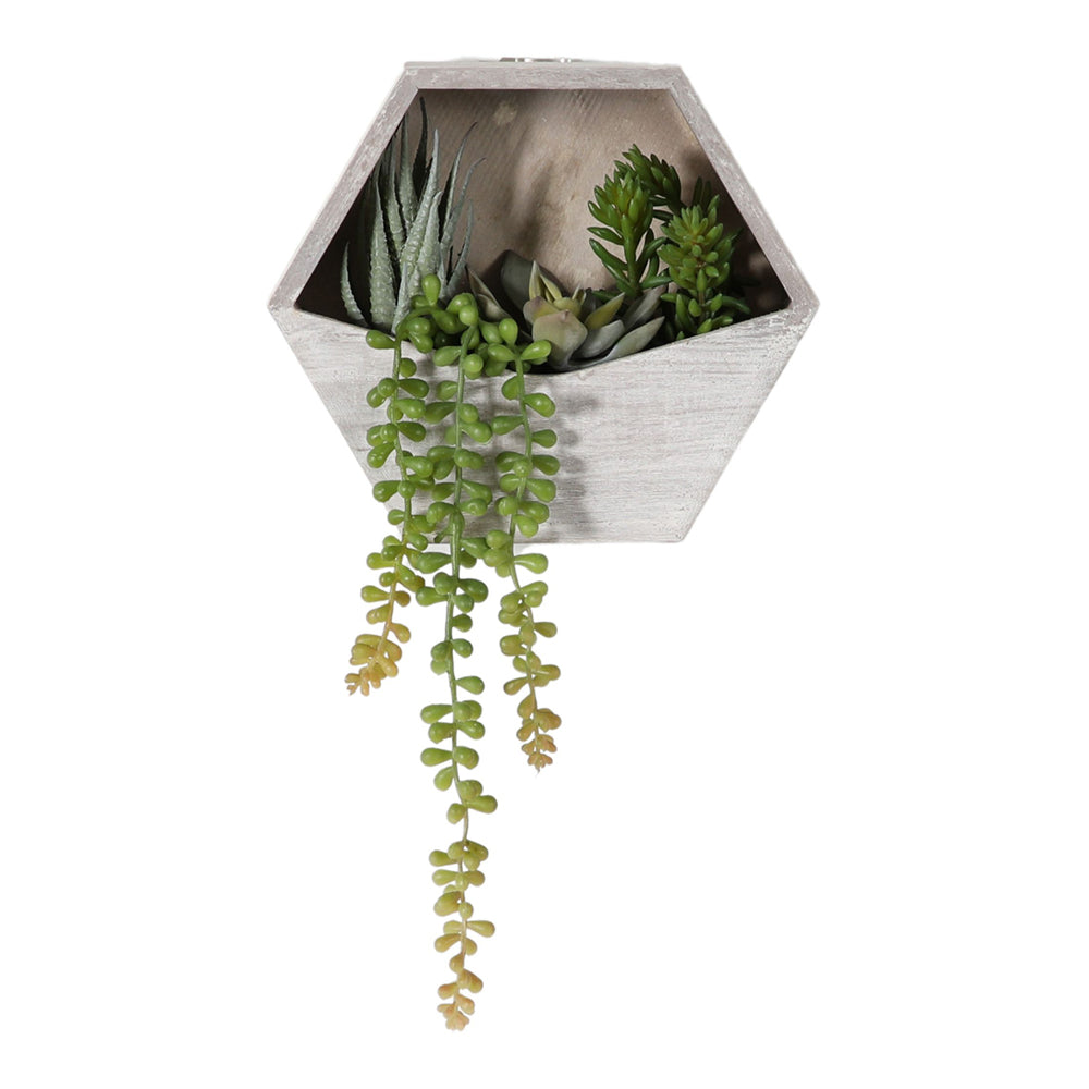 Gallery Interiors Doyle Wall Planter With Agave Succulent Mix Cream And Green