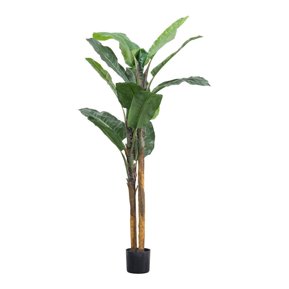 Product photograph of Gallery Interiors Finley Banana Palm Faux Plant Green Large from Olivia's
