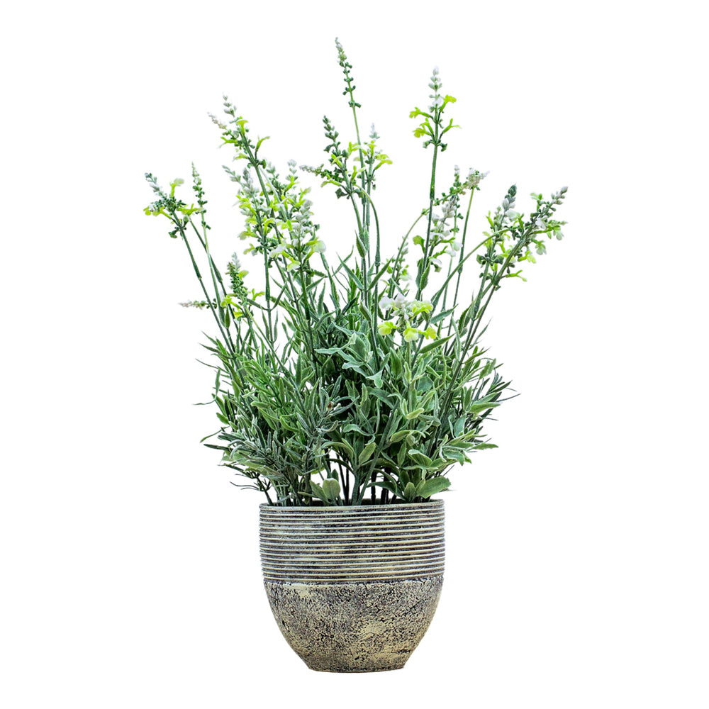 Product photograph of Gallery Interiors Garner Potted Lavender Cream Green Large from Olivia's