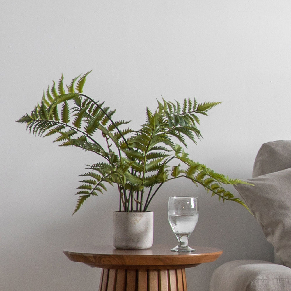 Product photograph of Gallery Interiors Kambiz Potted Fern In Cement Faux Plant Cream And Green Large from Olivia's