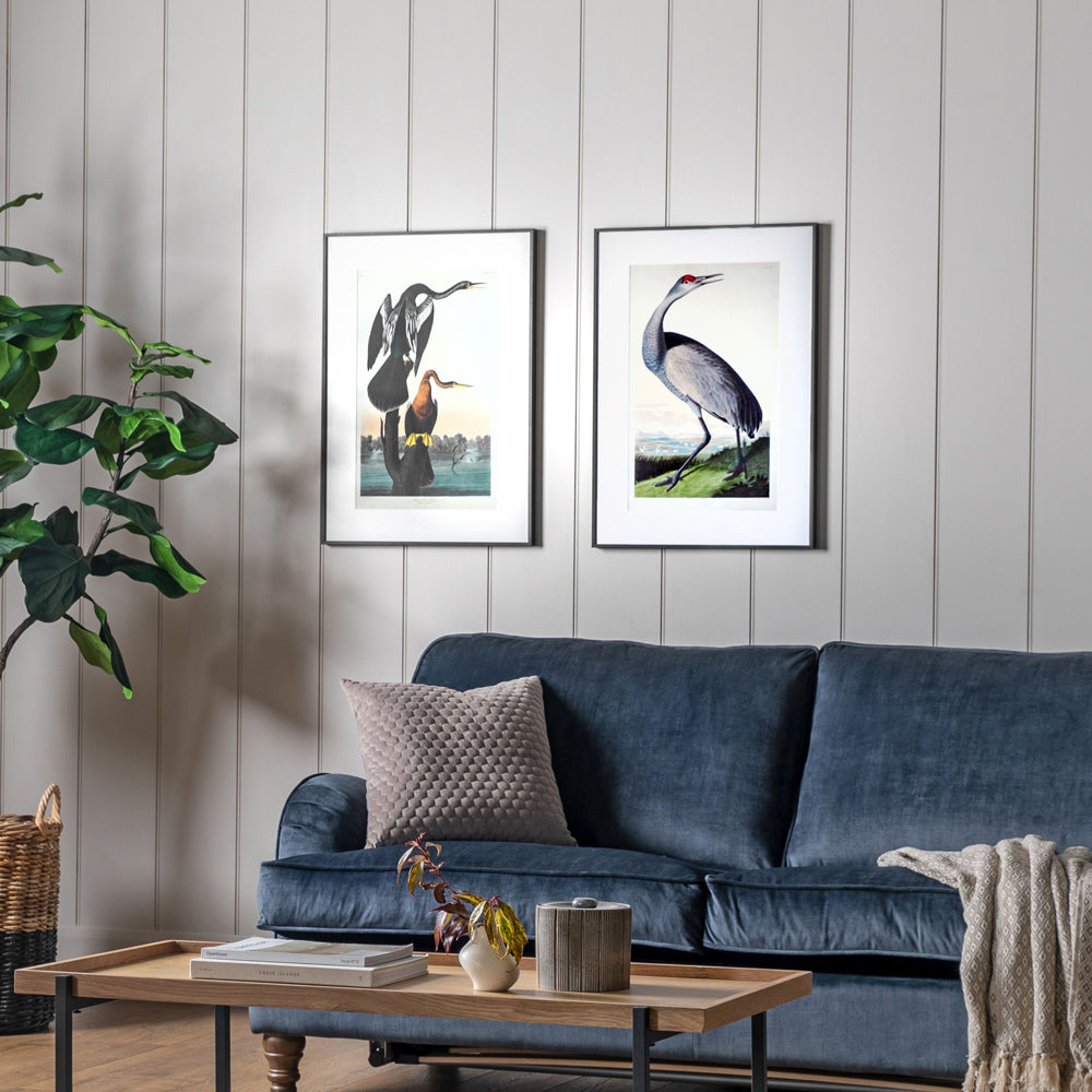 Product photograph of Gallery Interiors Set Of 2 Lei Exotic Fowl Study Framed Wall Art Multicoloured from Olivia's