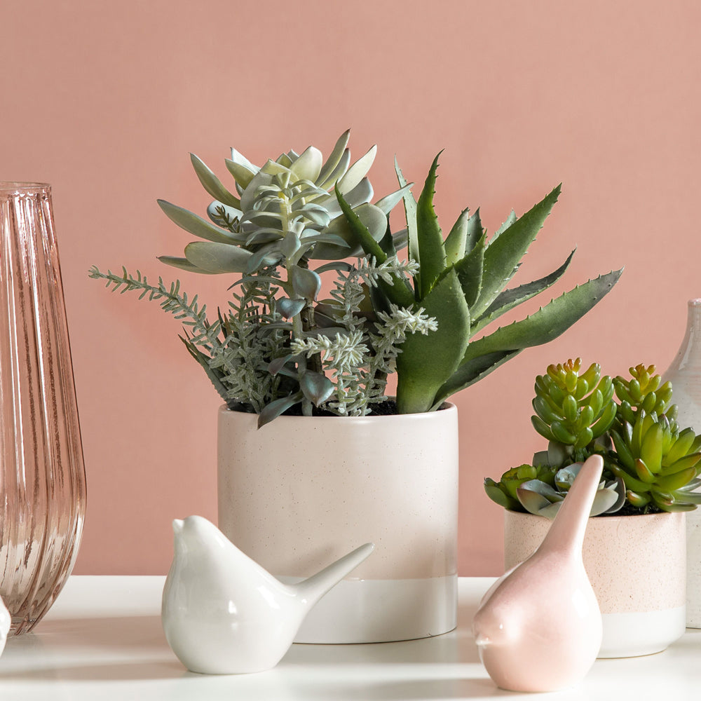 Product photograph of Gallery Interiors Lucina Potted Succulent Faux Plant Green And Pink from Olivia's