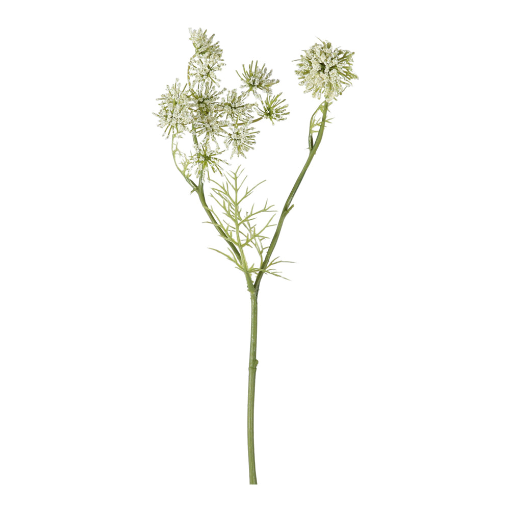 Product photograph of Gallery Interiors Set Of 12 Page Queen Annes Lace Spray White from Olivia's