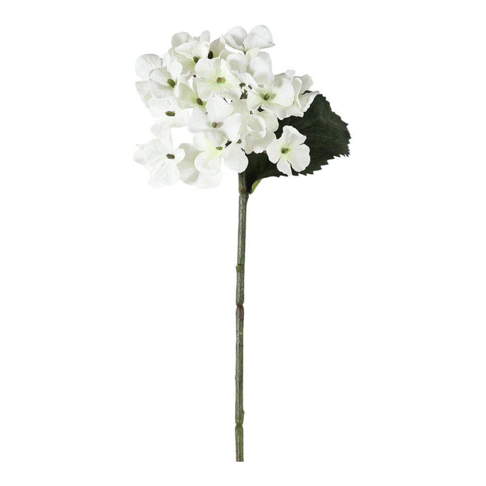 Product photograph of Gallery Interiors Spiros Hydrangea Stem White Large Set Of 6 from Olivia's