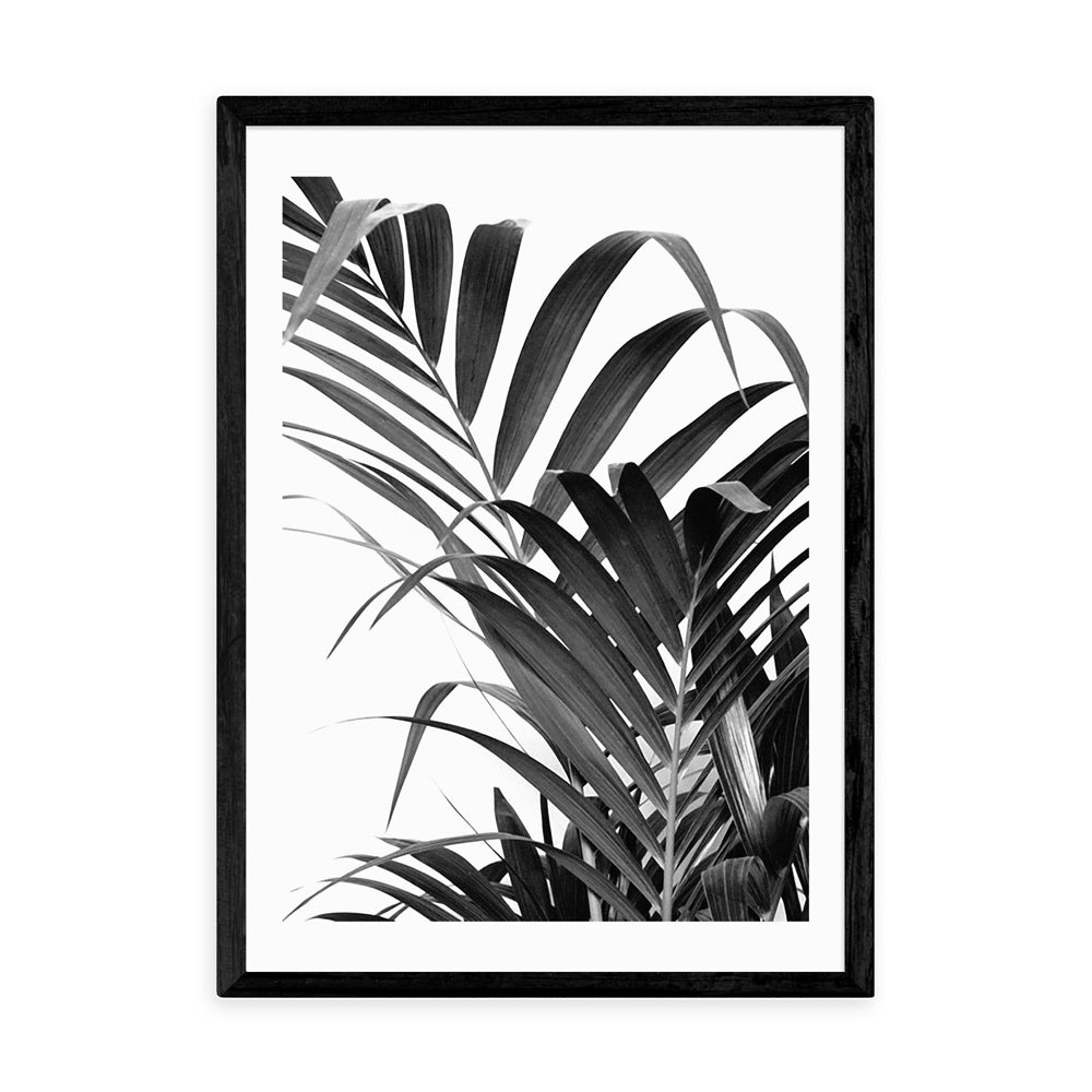 Product photograph of Palm Leaf 02 By Honeymoon Hotel - A2 Black Framed Art Print from Olivia's