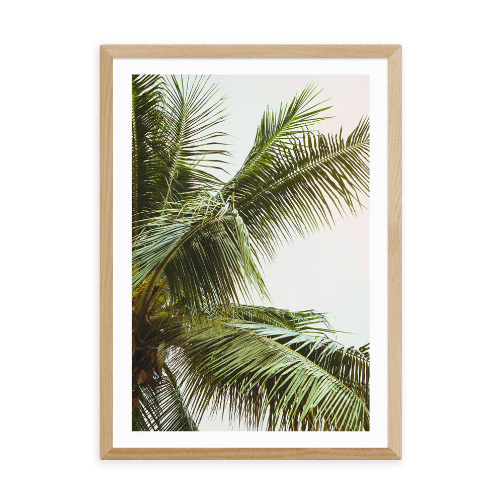 Product photograph of Palm Trees Above Me By Honeymoon Hotel - A2 Oak Framed Art Print from Olivia's.