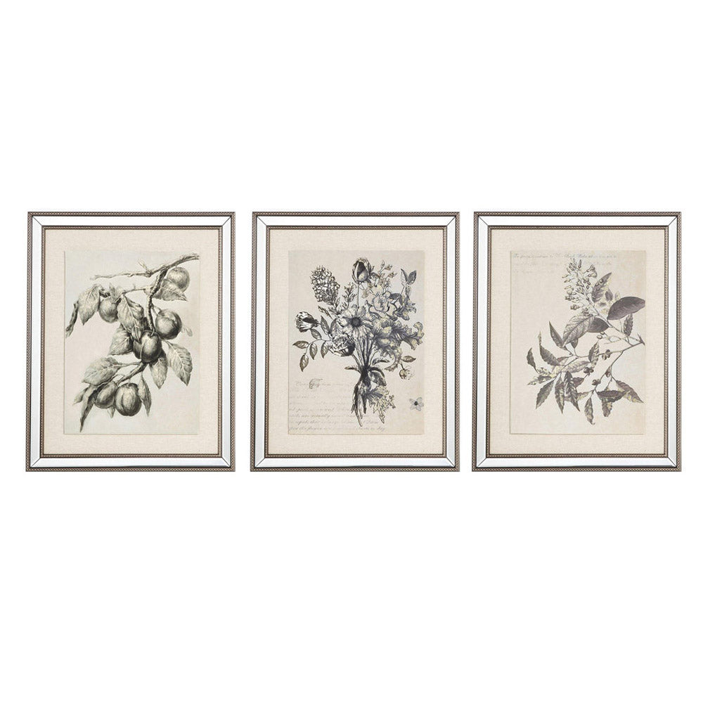 Product photograph of Mindy Brownes Set Of 3 Prints Wall Art Grey from Olivia's.