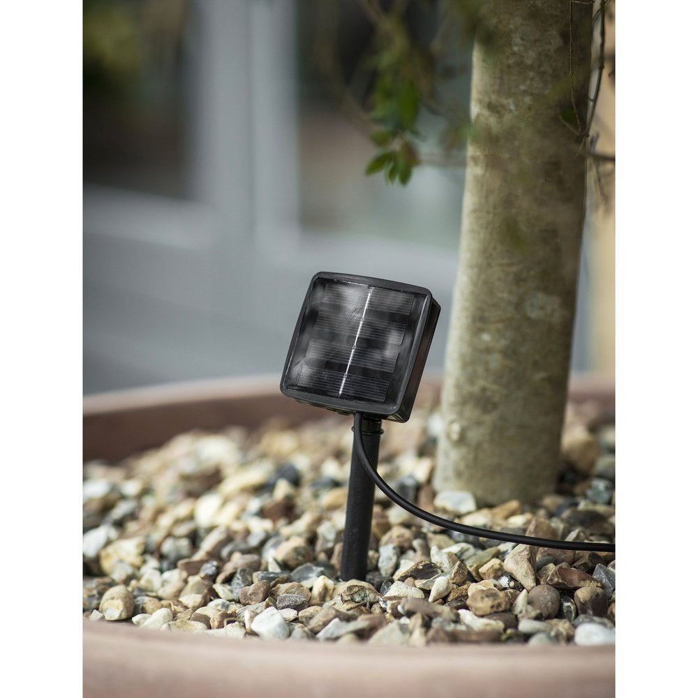 Product photograph of Garden Trading Festoon Lights Linear Pendant Lights Solar from Olivia's.