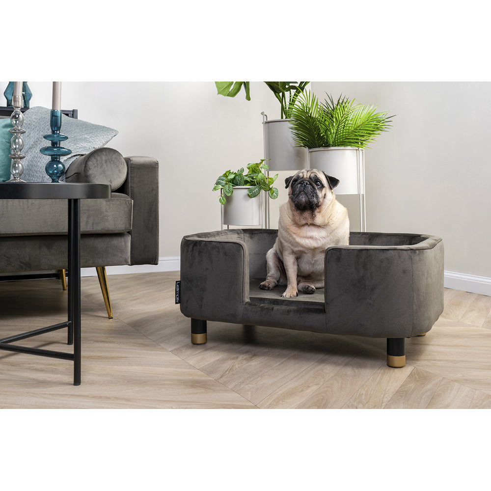 Product photograph of Present Time Explicit Pet Bed Black Outlet from Olivia's.