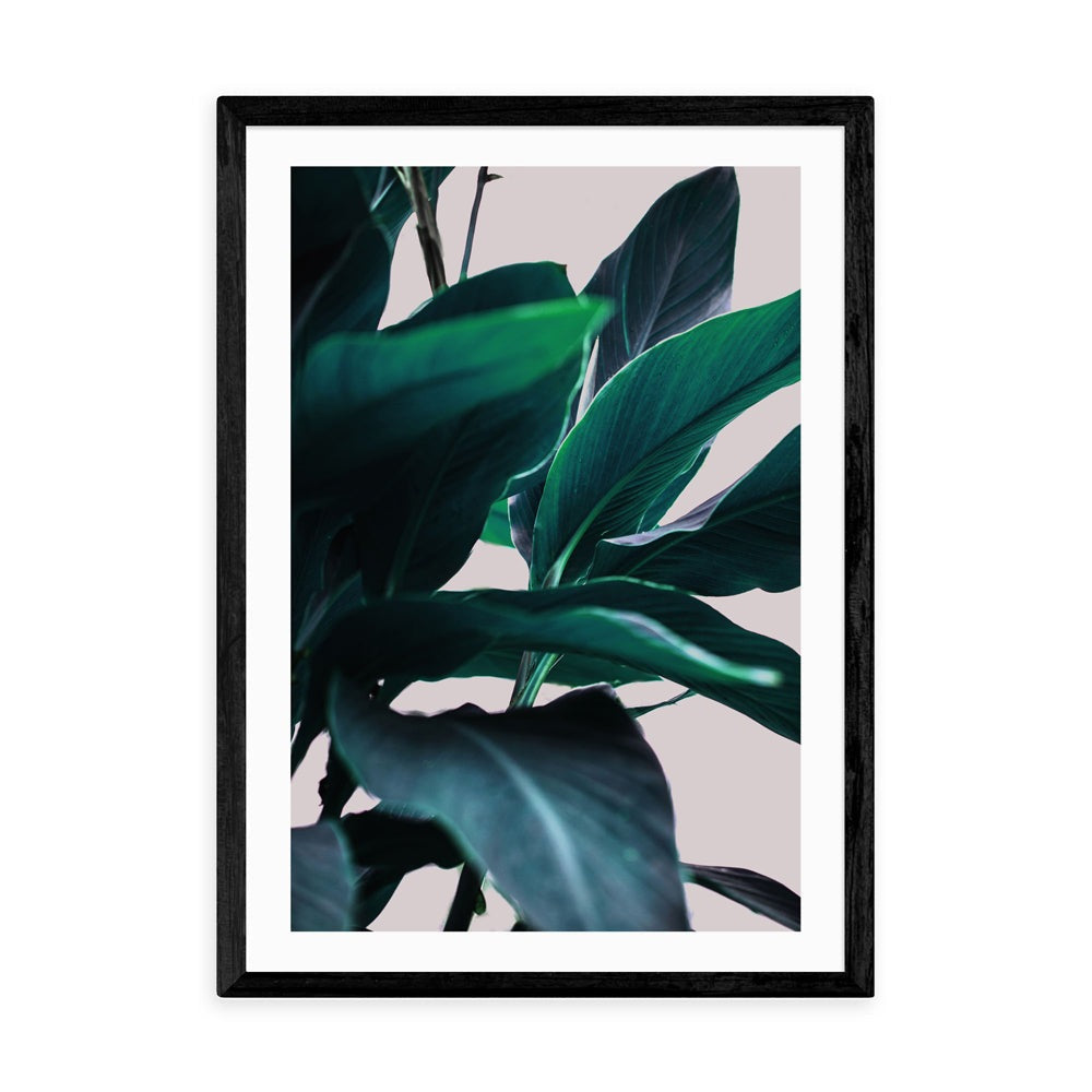 Product photograph of Leaves Iv By Mareike Boehmer - A3 Black Framed Art Print from Olivia's