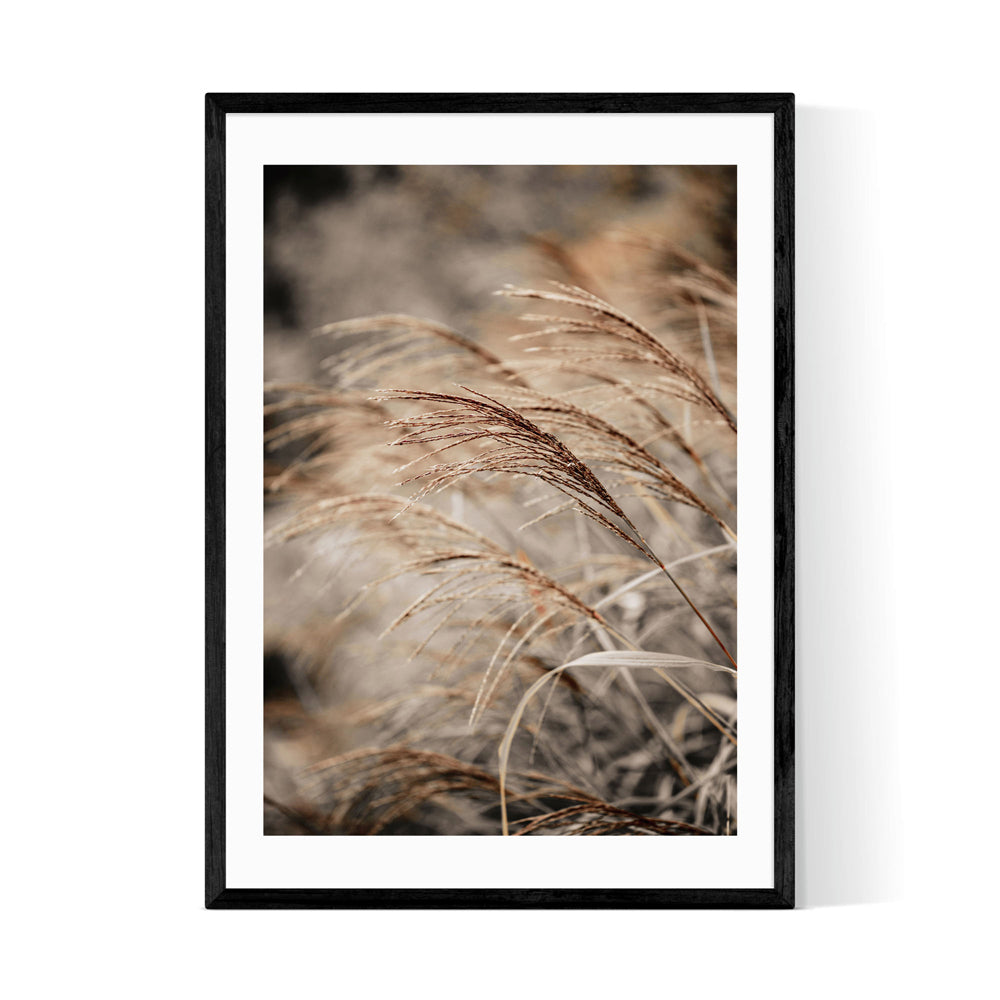 Product photograph of Grass Xx By Mareike Boehmer - A1 Black Framed Art Print from Olivia's