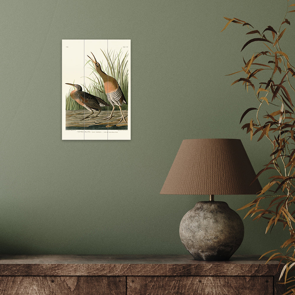 Product photograph of The Art Group John James Audubon Salt Water Marsh Hen Wood Print Micro from Olivia's.