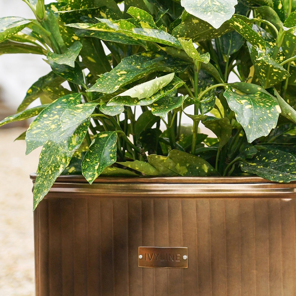 Product photograph of Ivyline Outdoor Hampton Rectangular Copper Metal Planter Small from Olivia's.