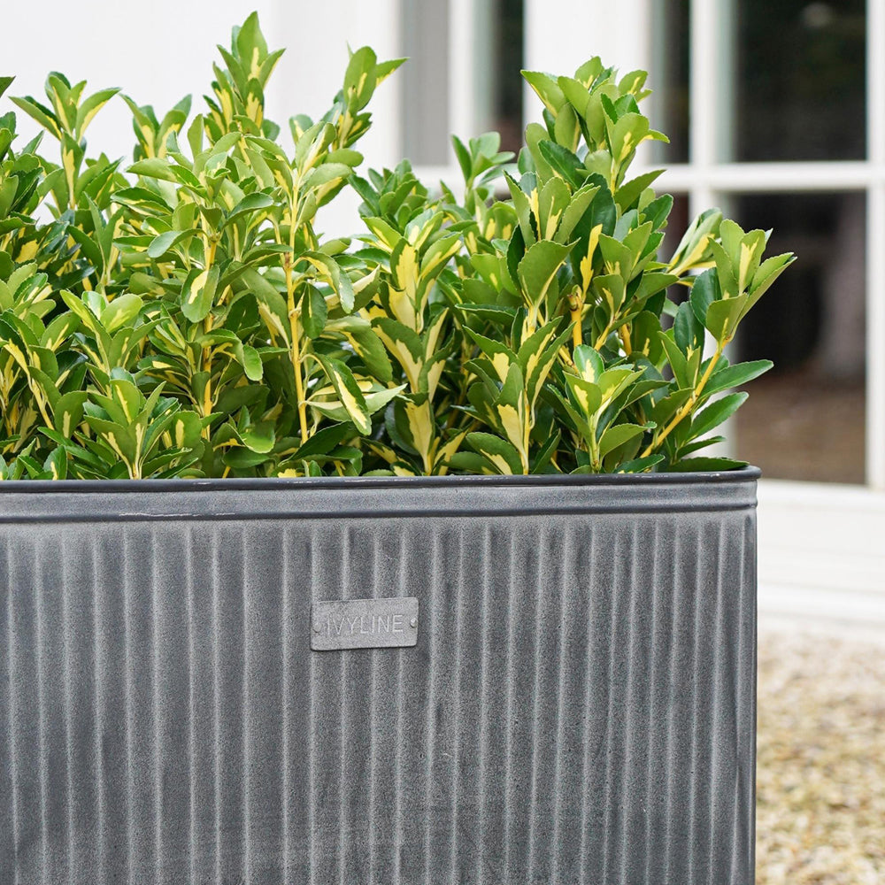 Product photograph of Ivyline Outdoor Hampton Rectangular Galvanised Metal Planter Small from Olivia's.