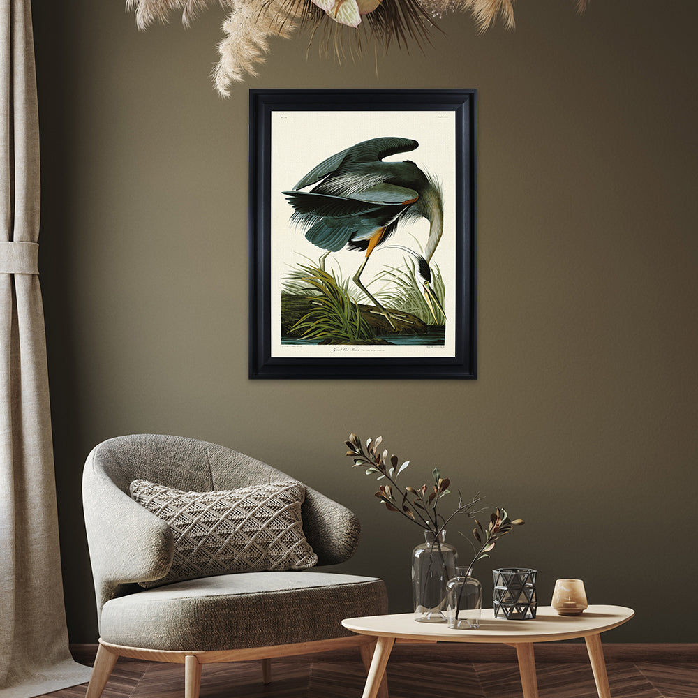 Product photograph of The Art Group John James Audubon Great Blue Heron Pre Framed - 60x80cm from Olivia's.