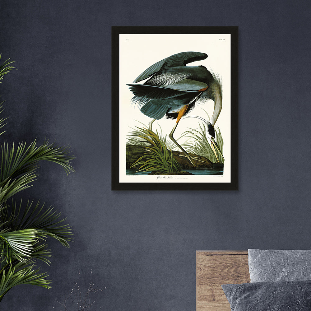 Product photograph of The Art Group John James Audubon Great Blue Heron Pre Framed- 60x80cm 60x80cm from Olivia's.