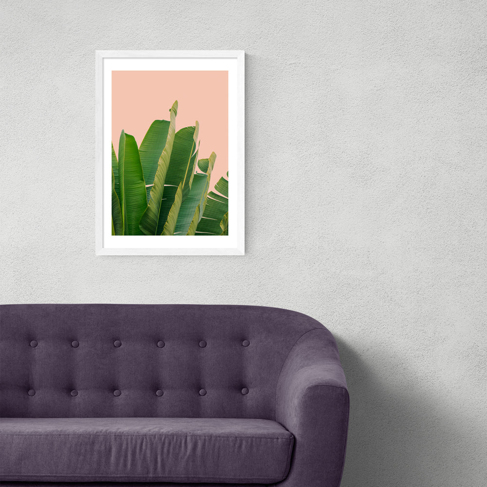 Product photograph of Banana Leaves By Rafael Farias - A3 White Framed Art Print from Olivia's