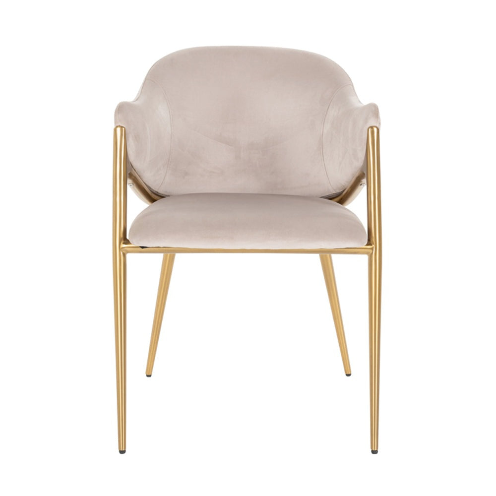 Product photograph of Richmond Gwen Chair Khaki Velvet from Olivia's.