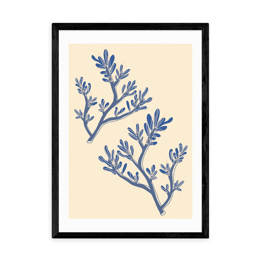 Product photograph of Seaweed Study By Sifa Mustafa - A3 Black Framed Art Print from Olivia's