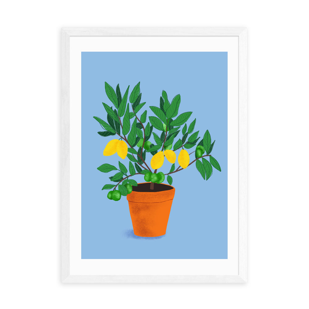 Product photograph of When Life Gives You Lemons By Sifa Mustafa - A3 White Framed Art Print from Olivia's.