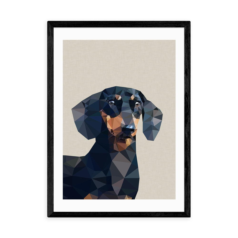 Product photograph of Daschund By Studio Cockatoo - A3 Black Framed Art Print from Olivia's.