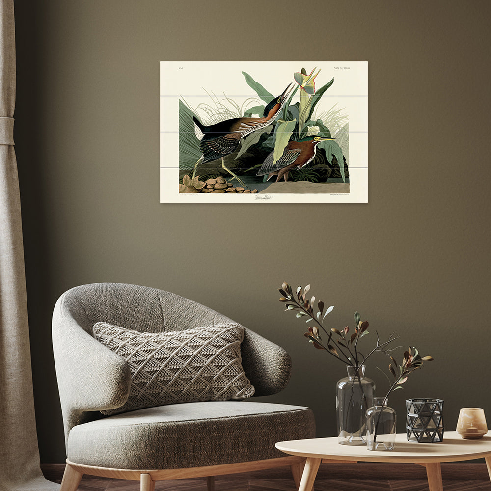 Product photograph of The Art Group John James Audubon Green Heron Wood Print Micro from Olivia's.