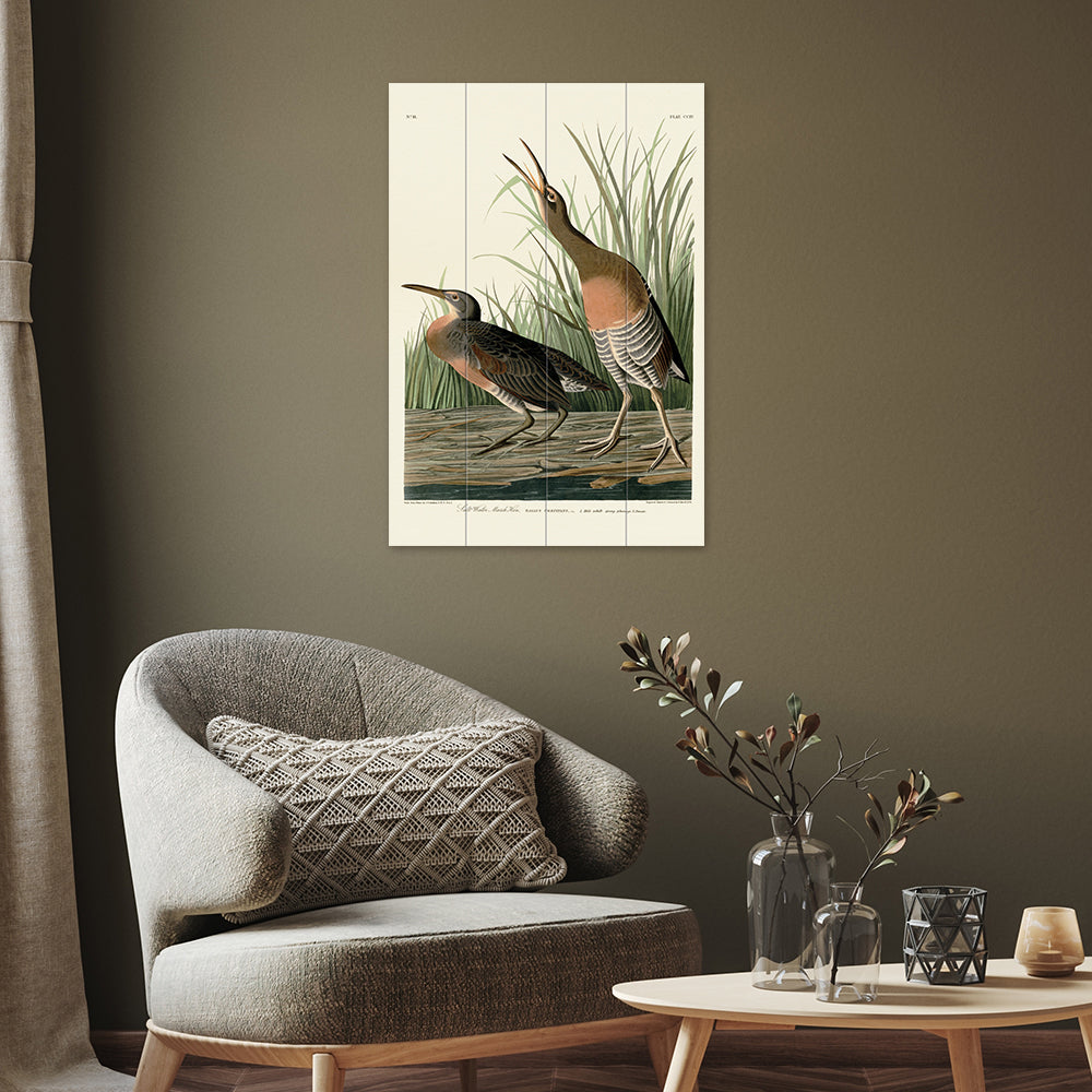 Product photograph of The Art Group John James Audubon Salt Water Marsh Hen Wood Print Small from Olivia's.