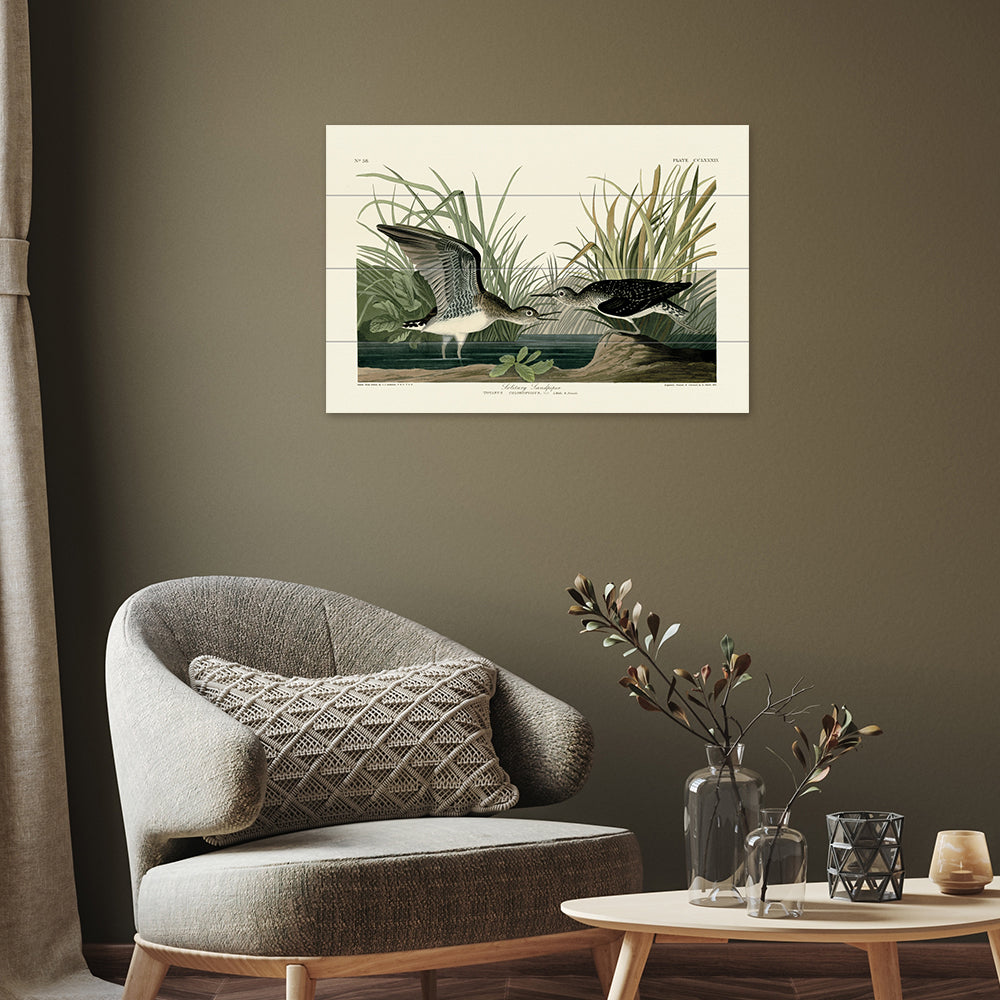 Product photograph of The Art Group John James Audubon Solitary Sandpiper Wood Print Small from Olivia's.